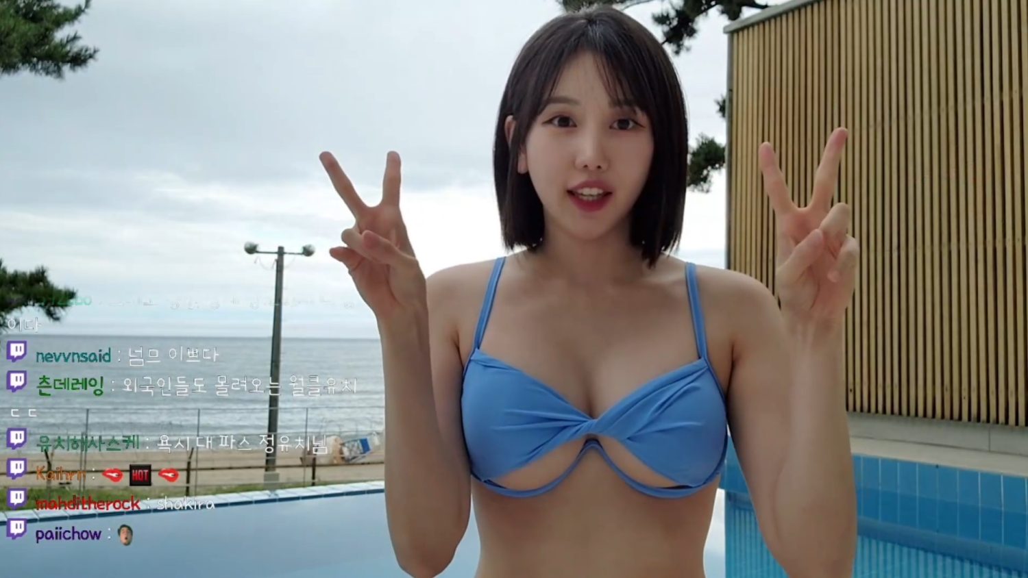 Video Image