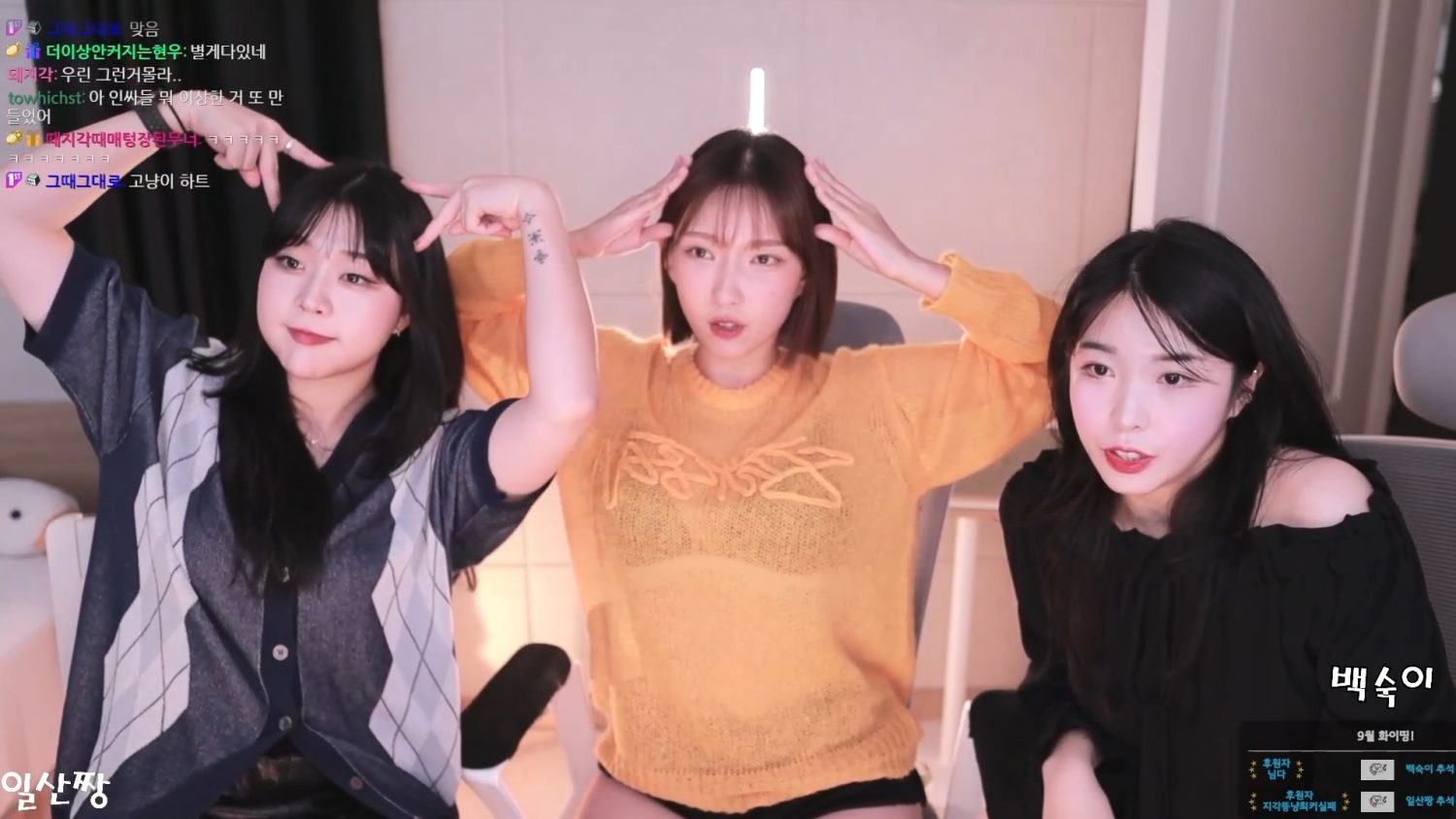 Video Image