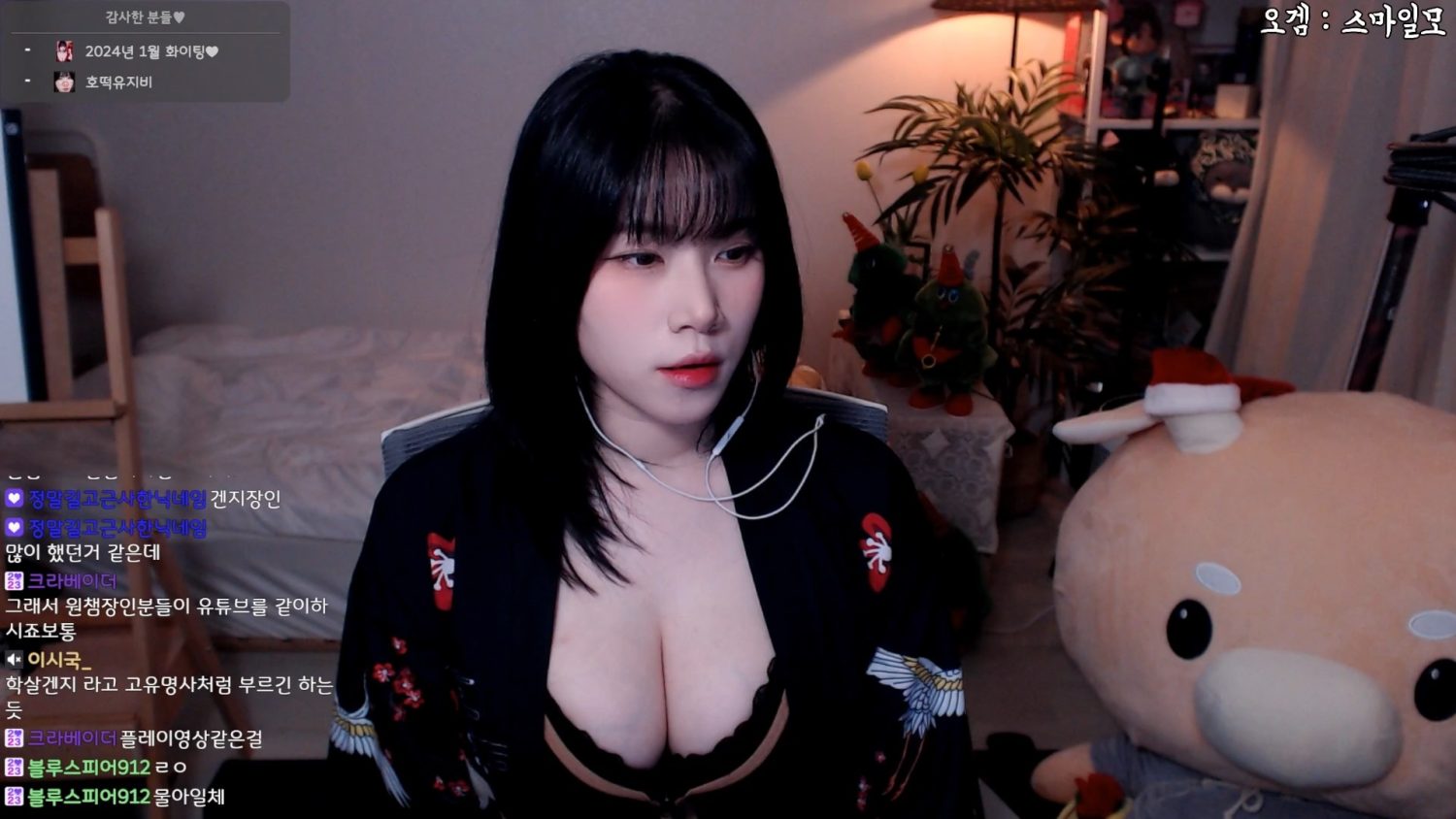 Video Image
