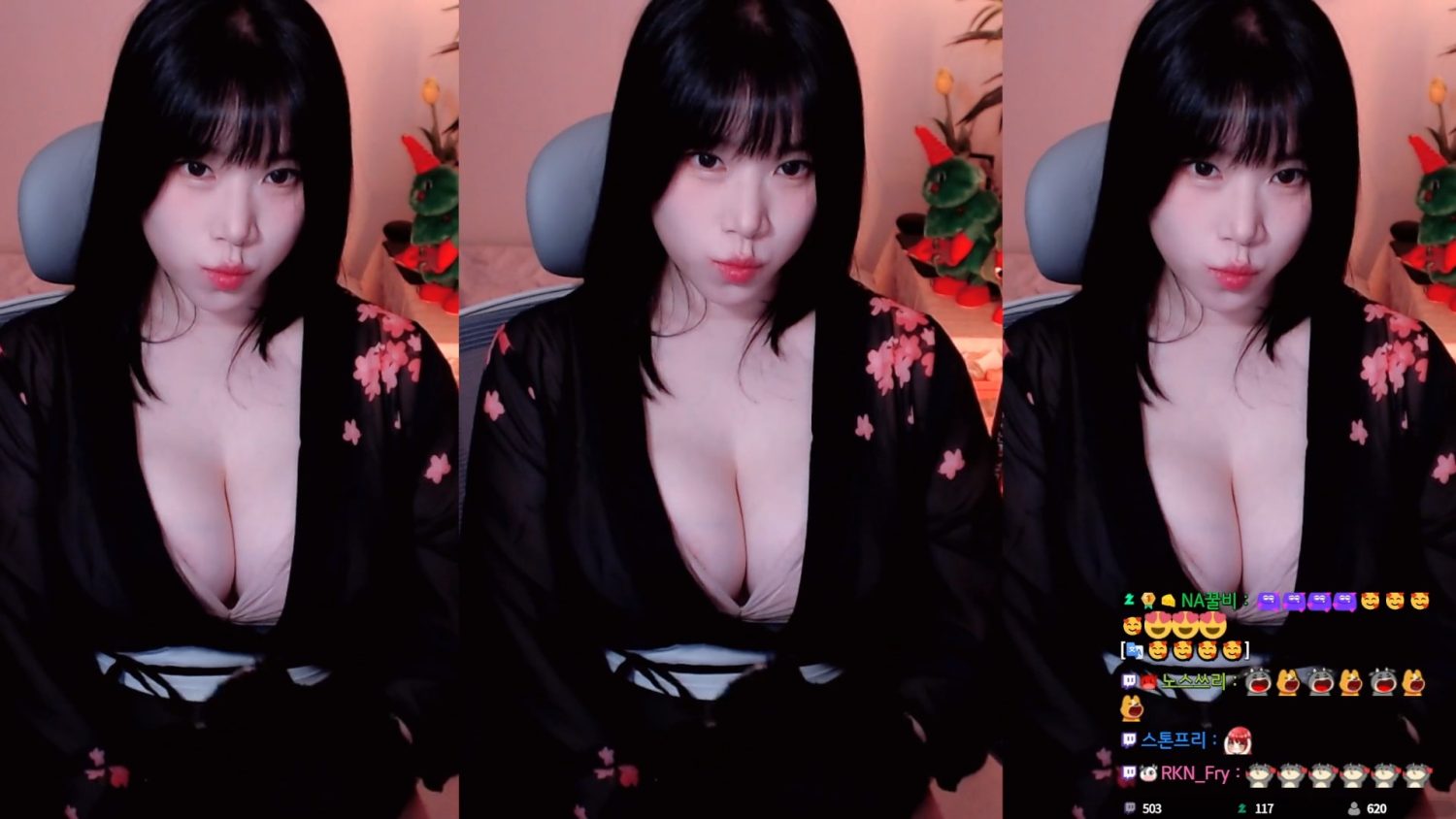 Video Image