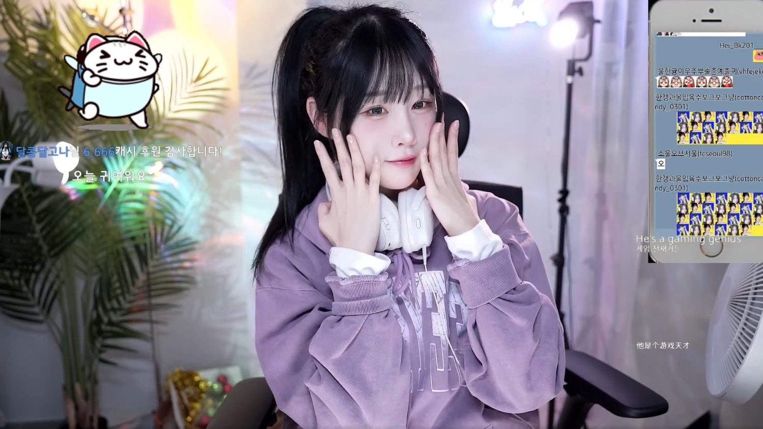 Video Image