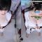 woohankyung 2025-03-16 full + dance