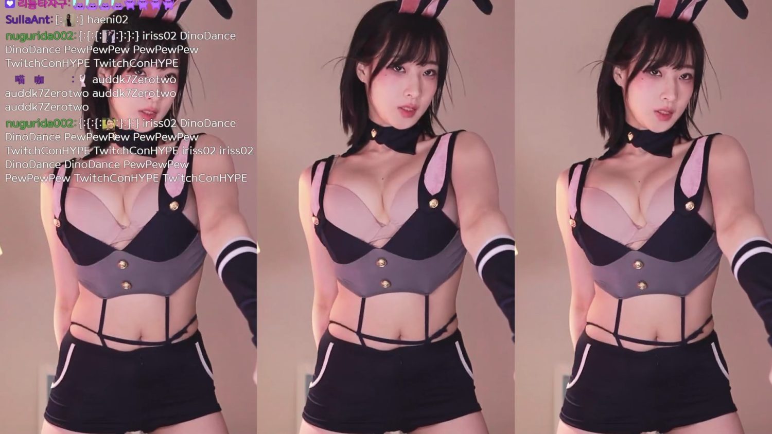Video Image