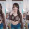 sooflower 2025-03-01
