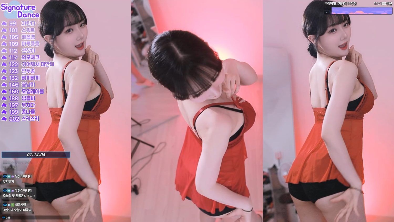 Video Image