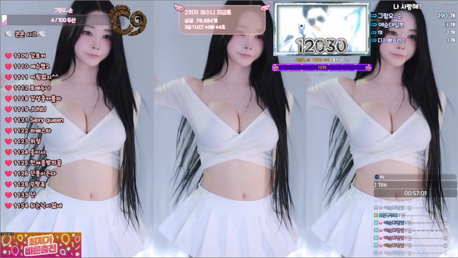 Video Image