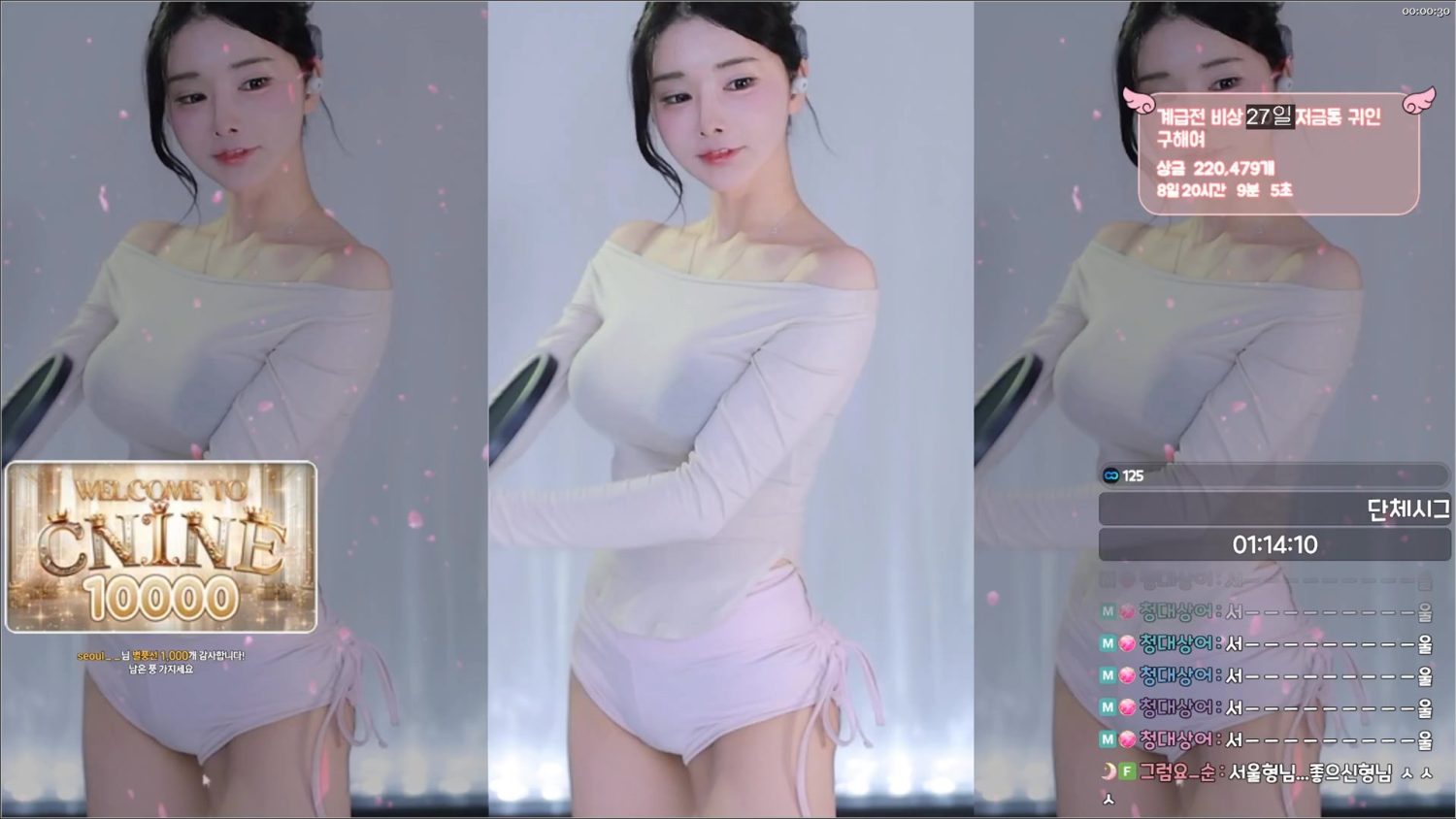 Video Image