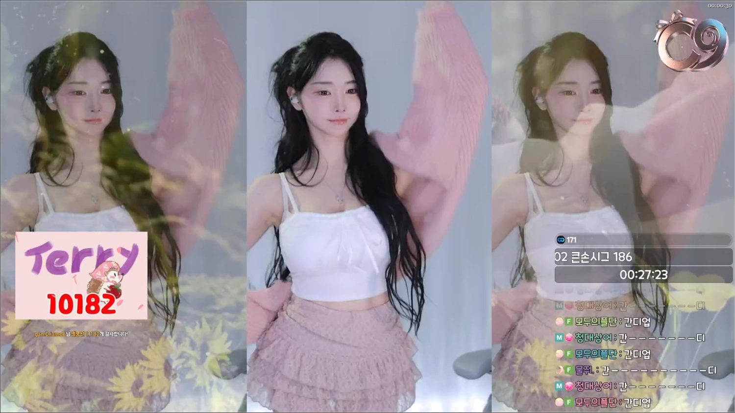 Video Image