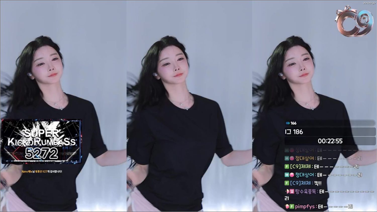 Video Image