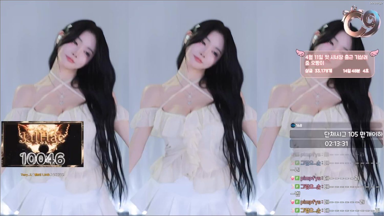 Video Image