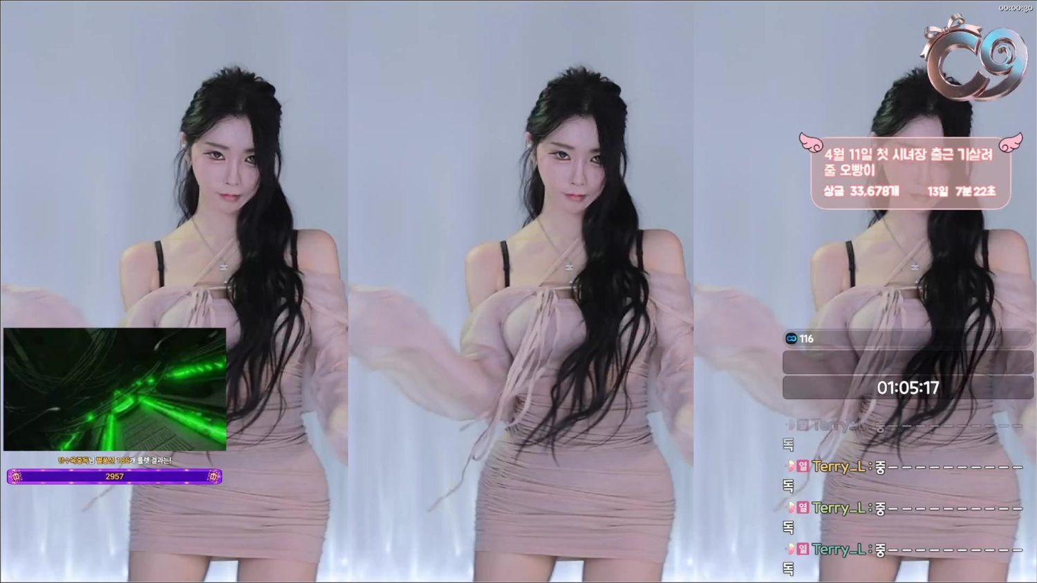Video Image