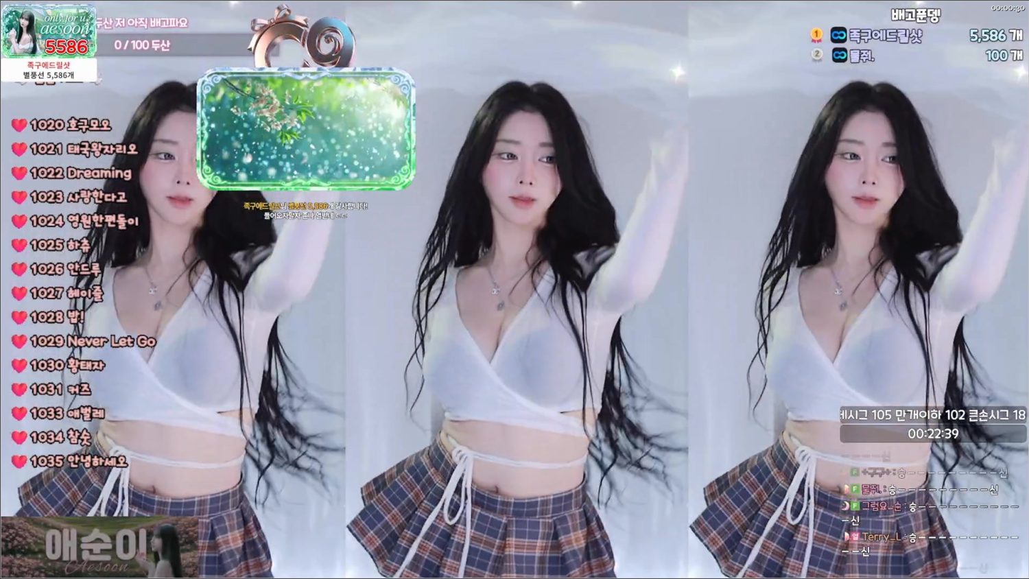 Video Image